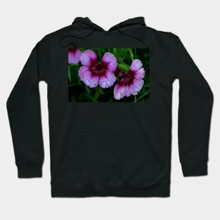 Summer Flowers. Hoodie